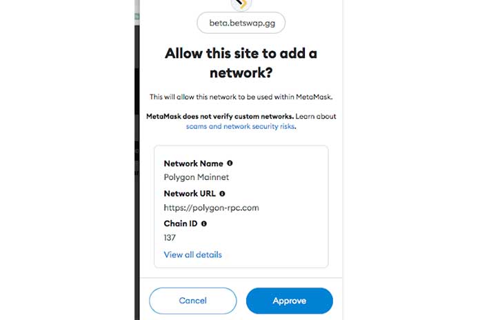 Polygon Mainnet setup